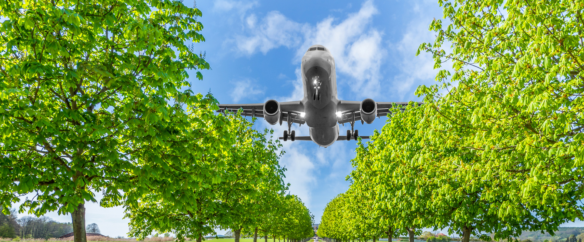 A commercial jet flying over the tops of green leafy trees