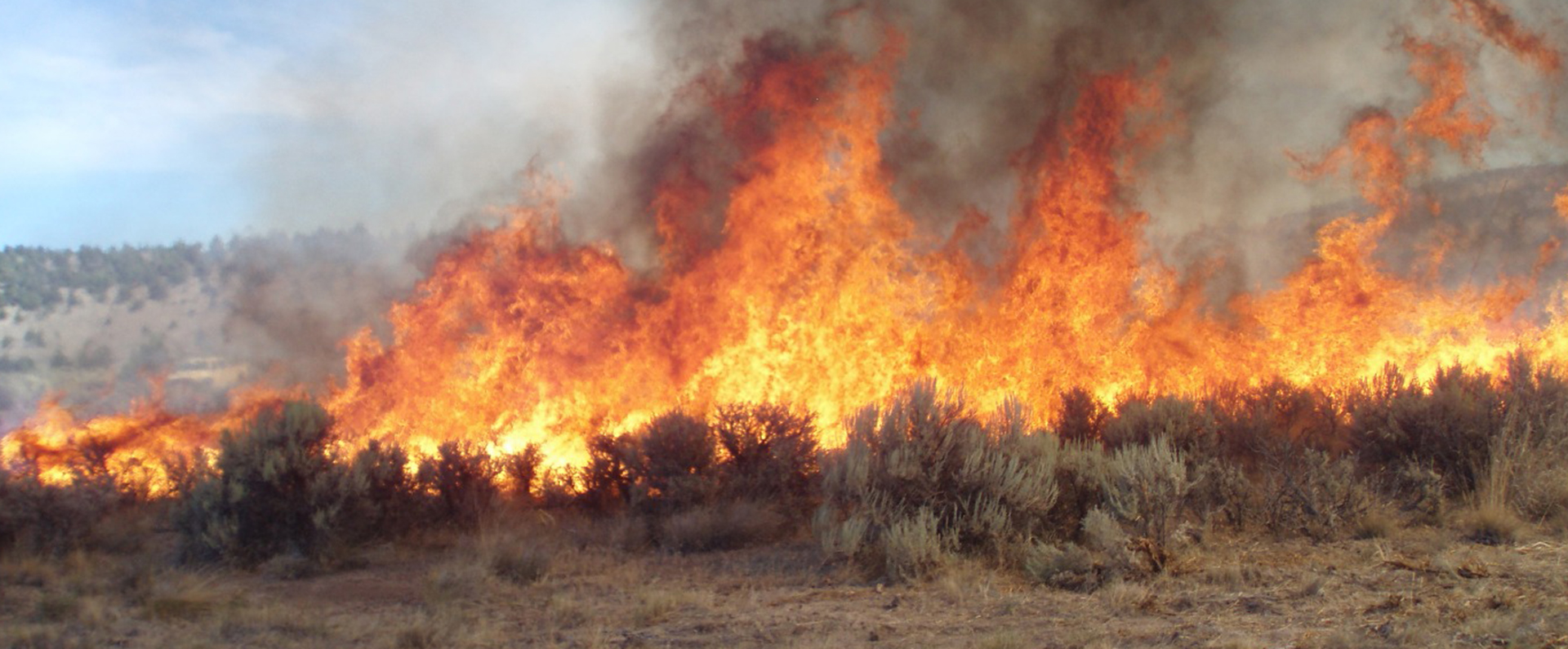 A wildfire burning