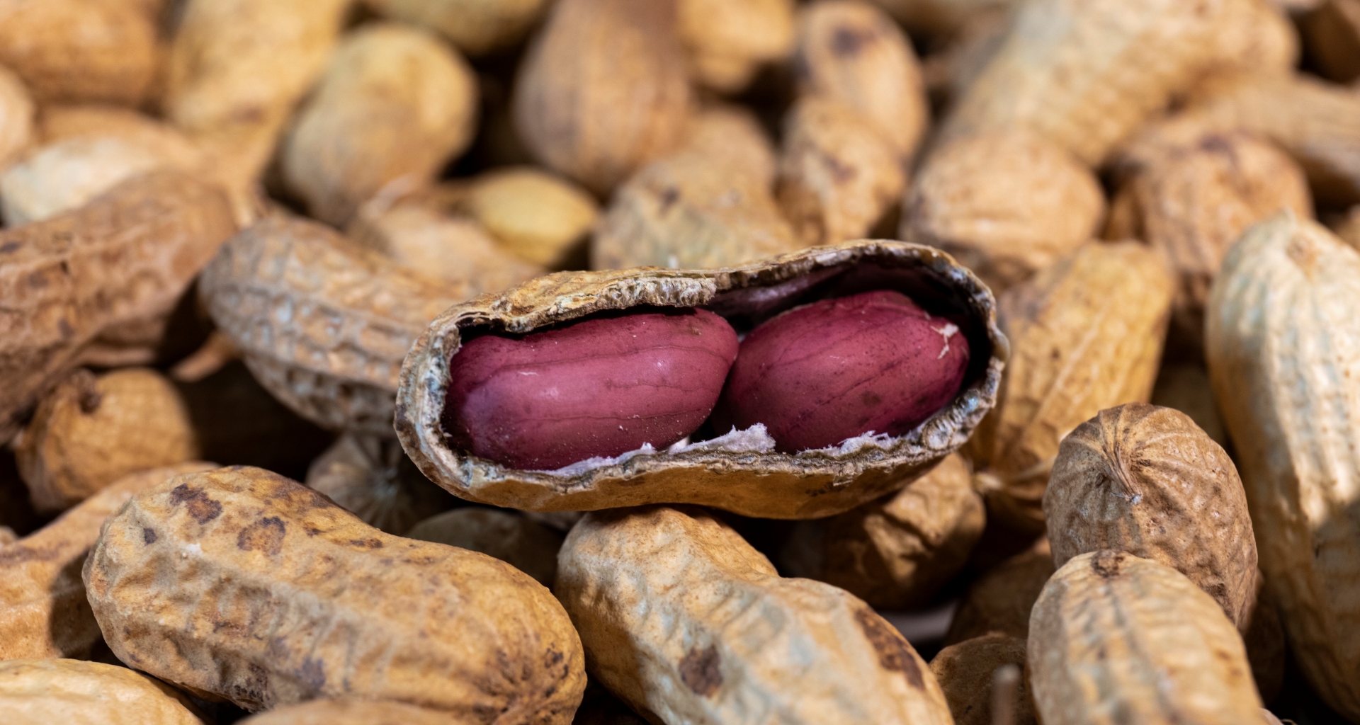 Peanuts in the shell
