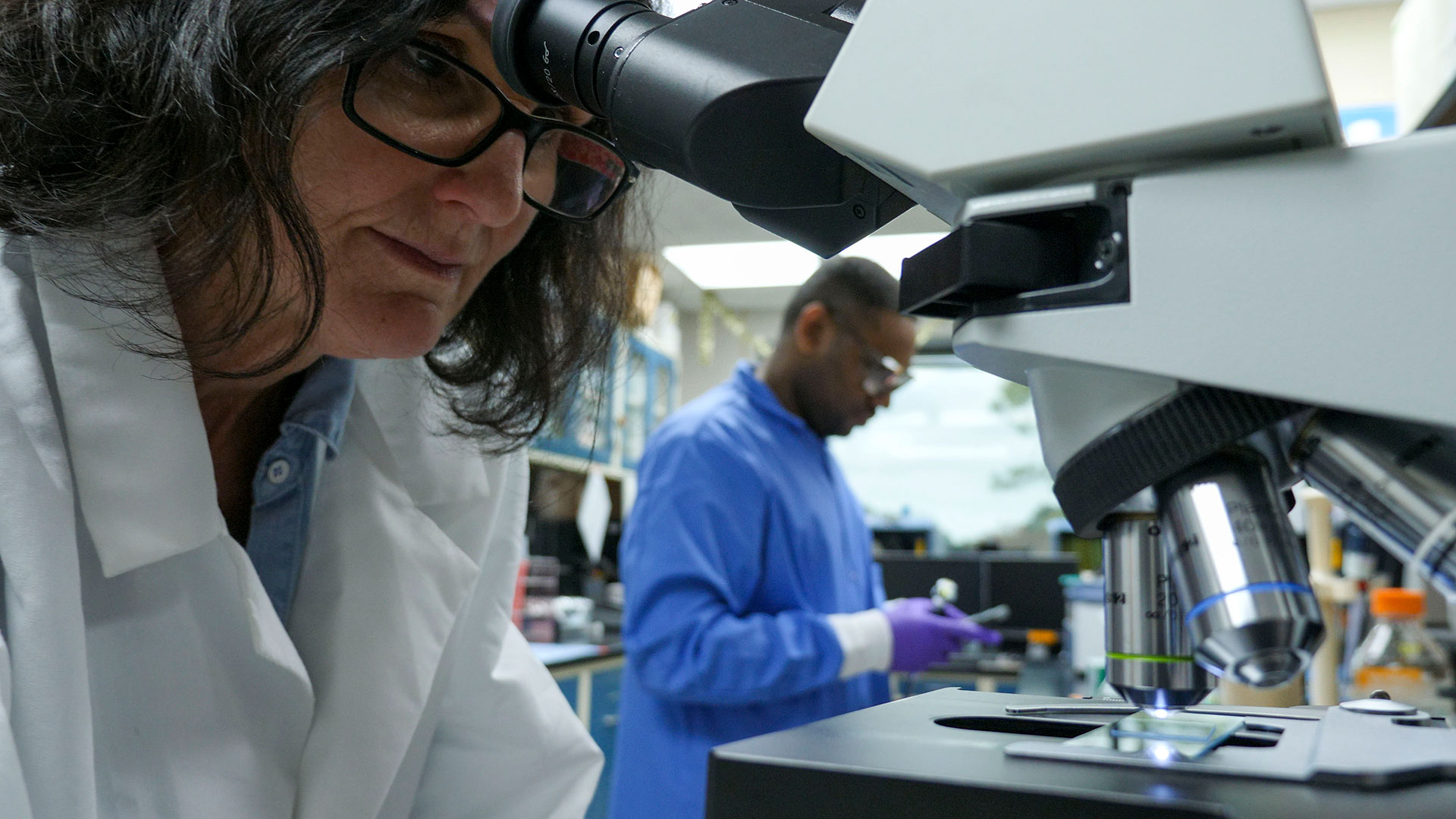 Two scientists working in a lab