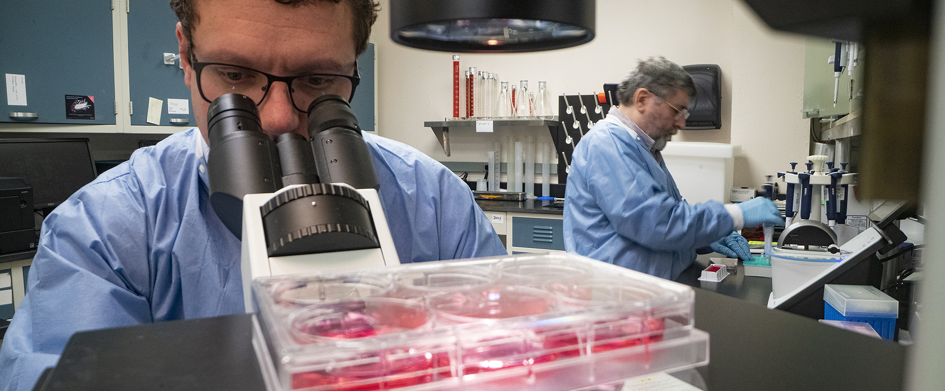  ARS microbiologists Douglas Gladue and Manuel Borca in a laboratory working on a microscope