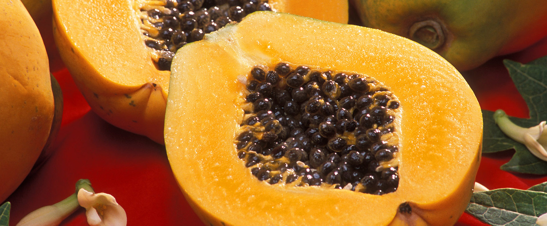 Fresh papaya sliced in half
