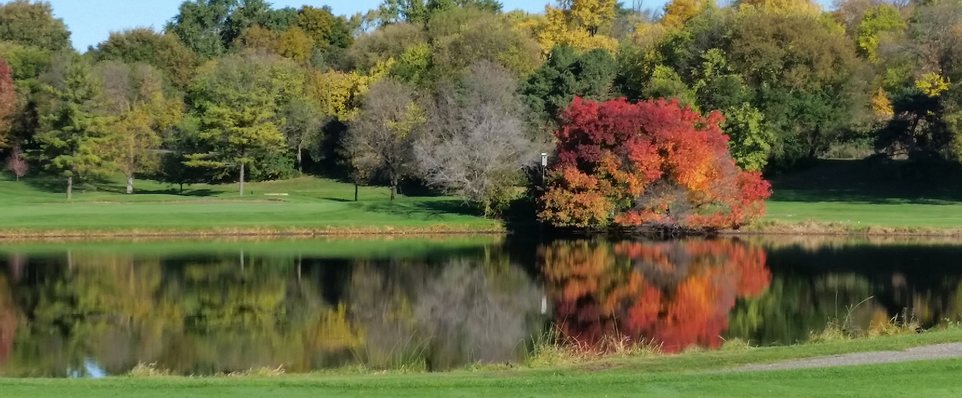 A grass filter strip near a pond