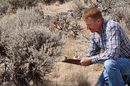 D5058 1Wildfires ARS rangeland scientist Kirk Davies records vegetation as part of work to evaluate forecasting tools that will determine which areas have the highest probability of a large rangeland fire. (Chad Boyd, D5058-1)