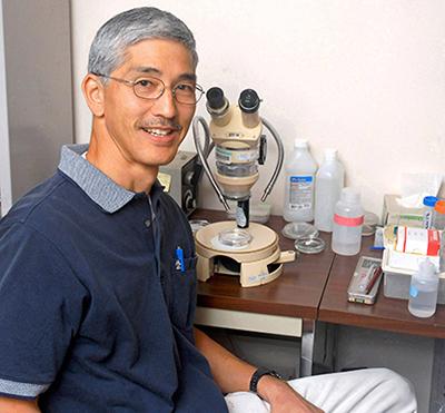 D4775 1 Entomologist David Oi in his lab at the Imported Fire Ant and Household Insects Research Unit