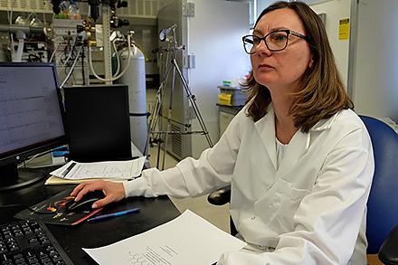 ARS Scientist Dr. Yelena Sapozhnikova conducts chemical analysis using a gas chromatograph.