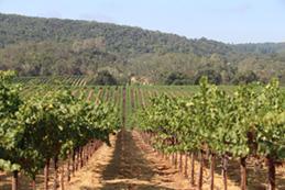 Drought Drought image