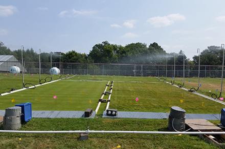 D5056 2 An ARS research plot.