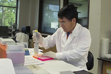 D5050 1 David Fang conducts DNA marker analysis in a lab.