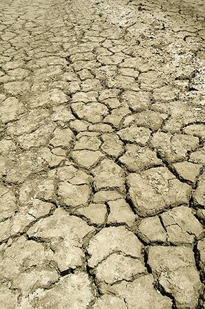 D186 2 Dry and cracked soil