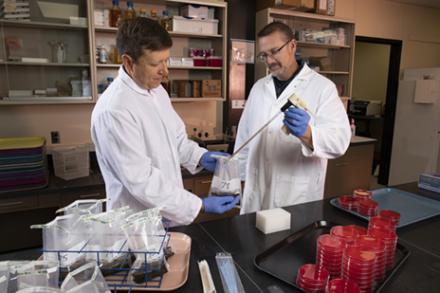 D4280-12 microbiologists prepare soil samples for study to determine the impact of antibiotic
