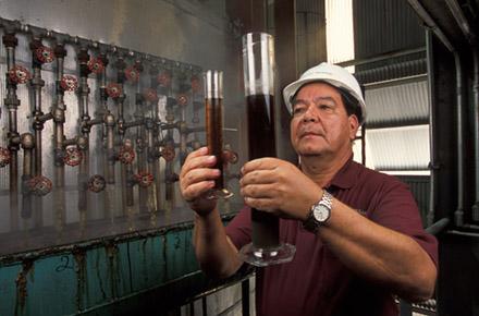Sugarcanejuice A production manager inspects clarified juices extracted from sugarcane stalks