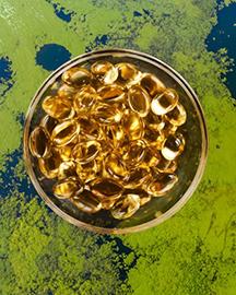 Fish oil capsules overlaying algae.