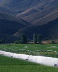 Savingwater image