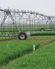 Irrigation system in a field.