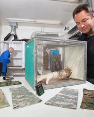 A scientist putting his arm in a box containing mosquitoes
