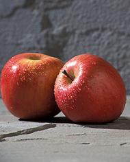 Two Fuji apples