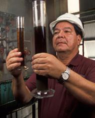 A production manager inspects clarified juices extracted from sugarcane stalks.
