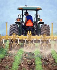 A tractor tilling
