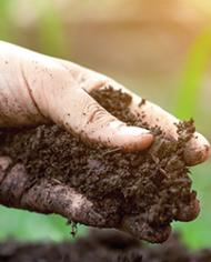 Soildepths image