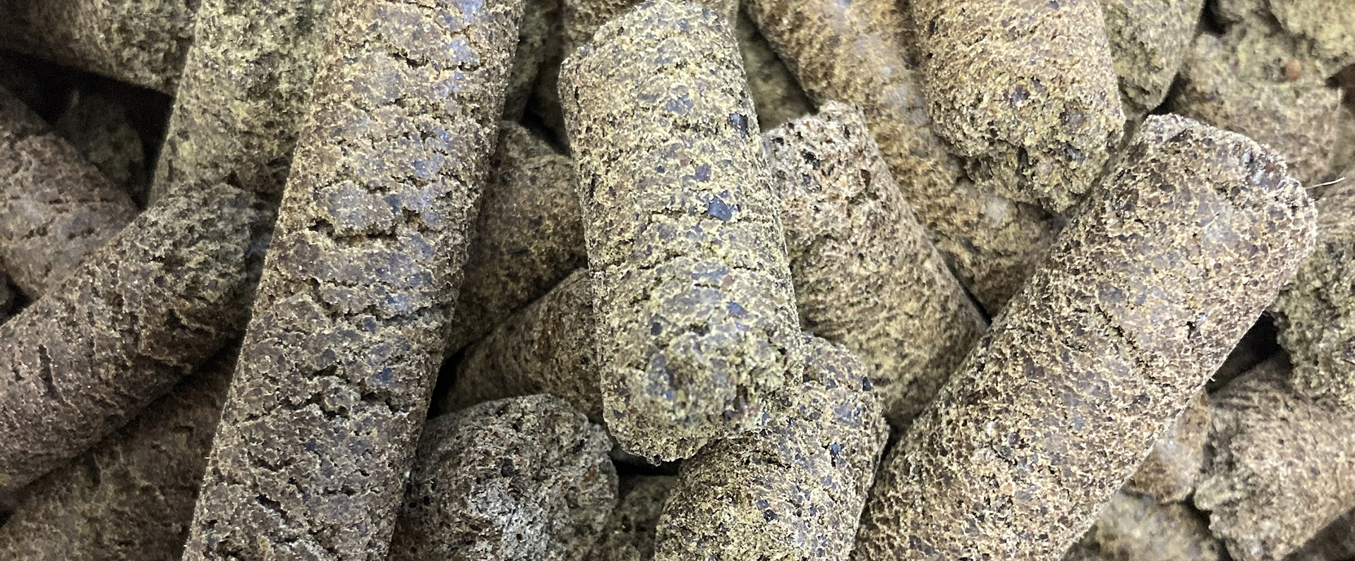 Cattle feed pellets made from hempseed. 