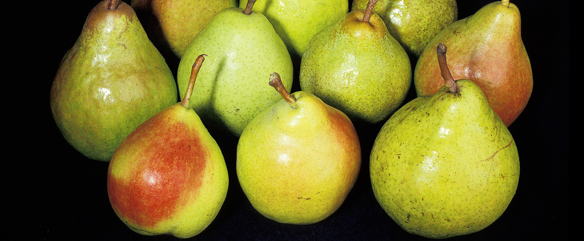 A group of 10 pears