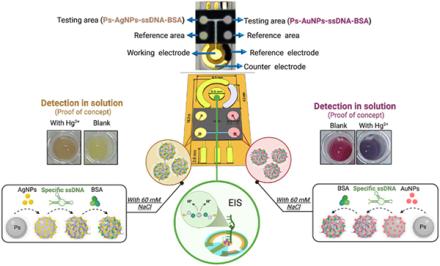 Diagram of a dual mercury detection system 