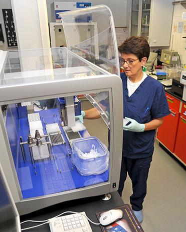 Microbiologist Teresa de los Santos uses an automatic liquid handling system to prepare multi-well plates to study immune responses of swine to foot-and-mouth disease virus infection using real-time PCR. 