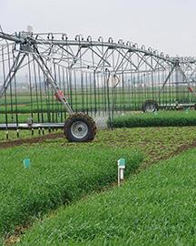 Irrigation system in a field.